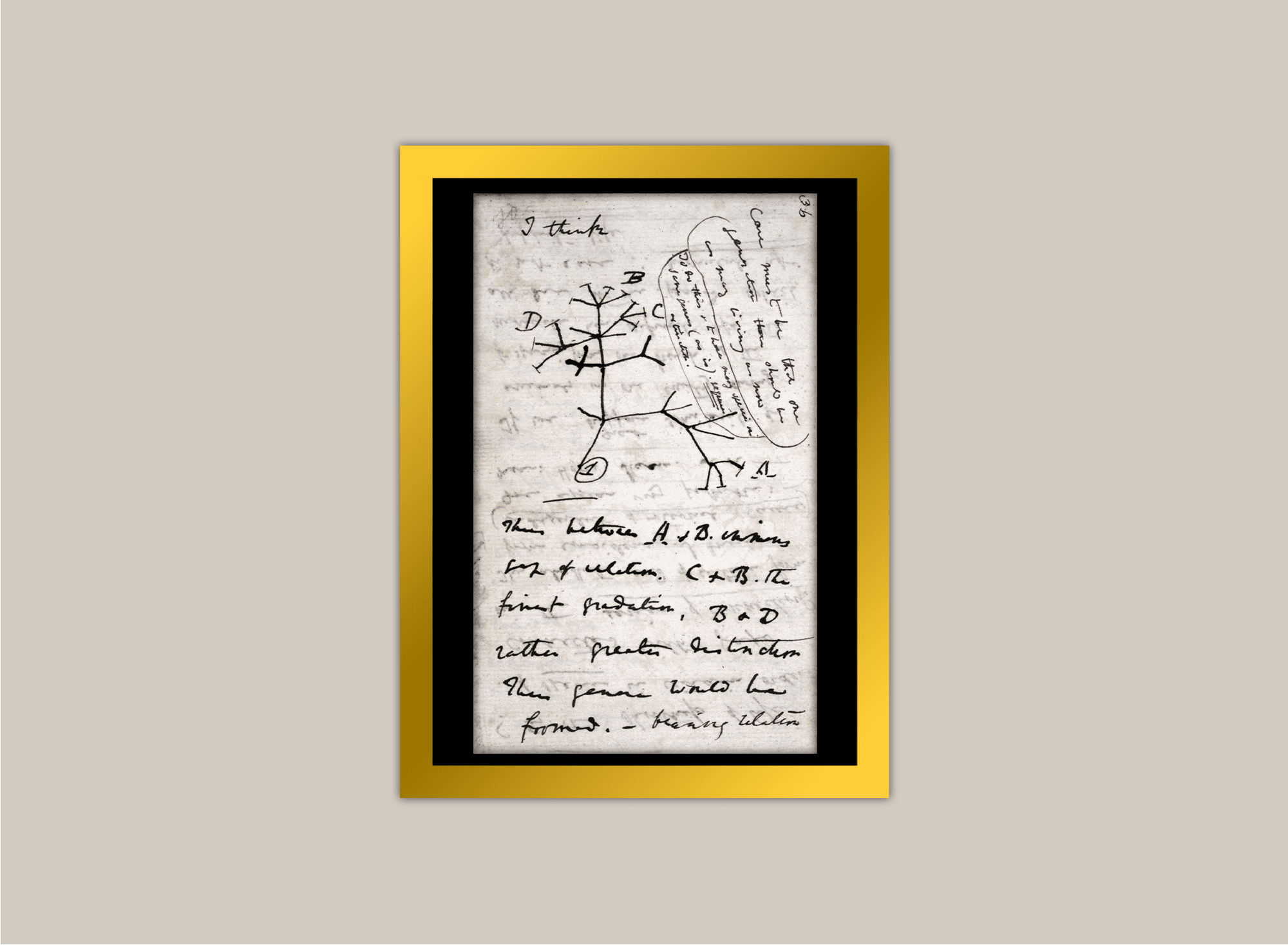 Darwin’s Tree of Life