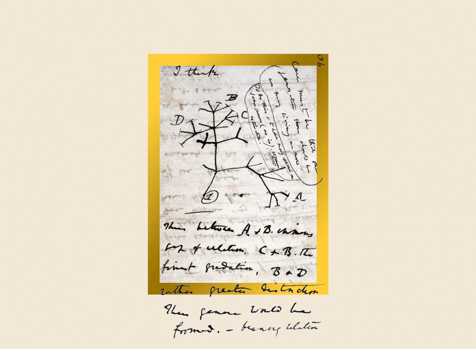Tree of Life