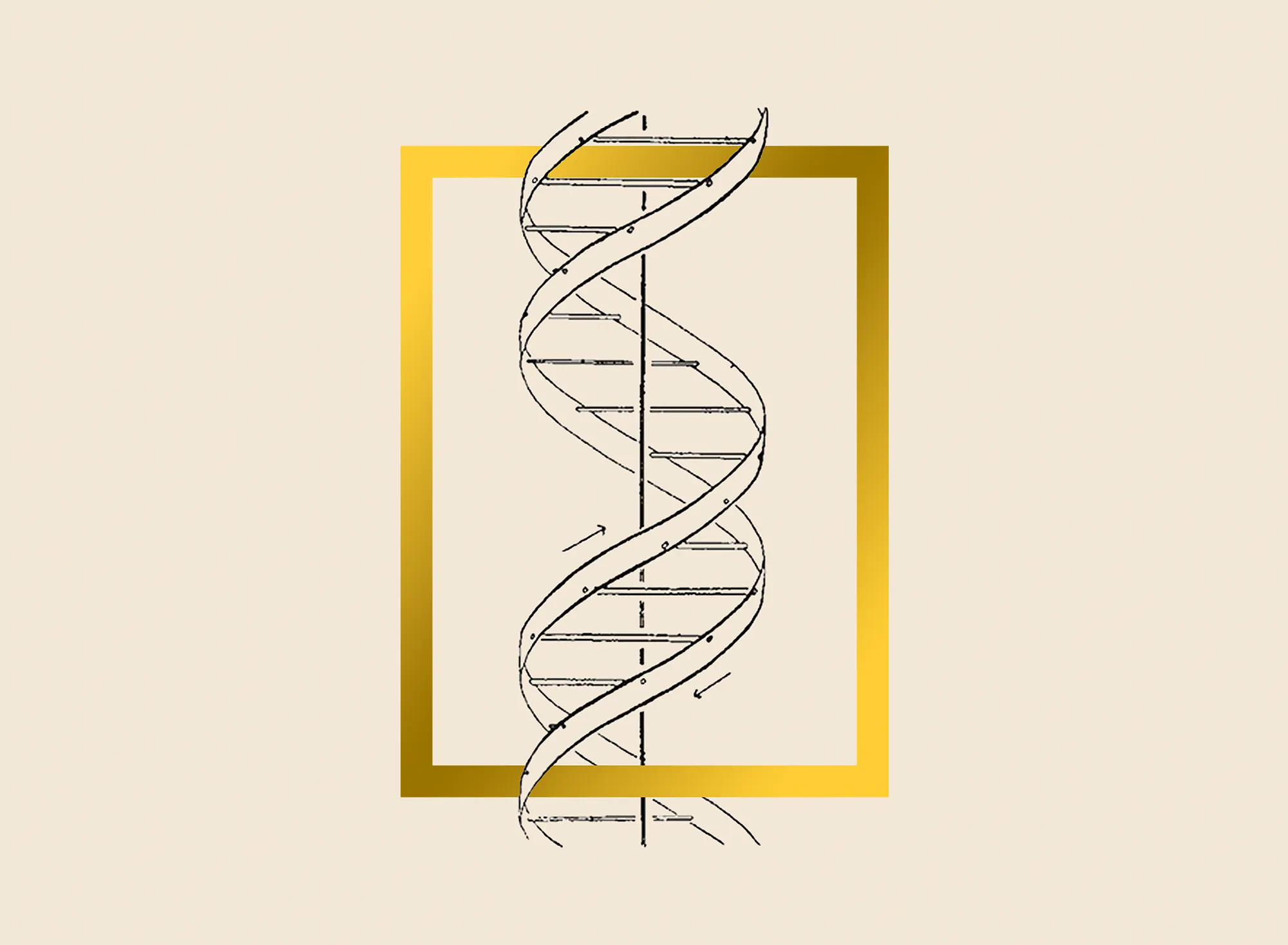 The Double Helix