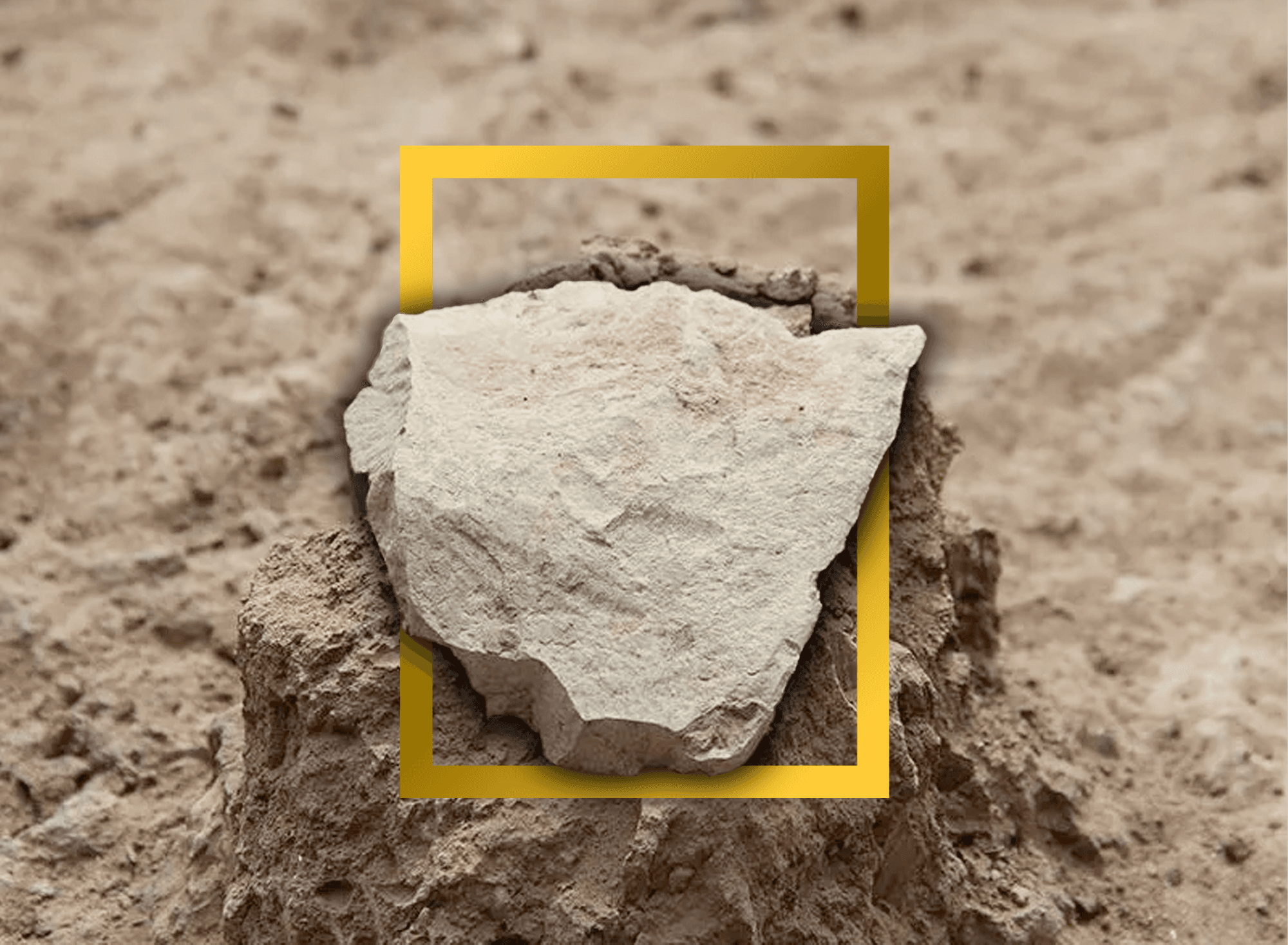 Lomekwi 3 Stone Tools