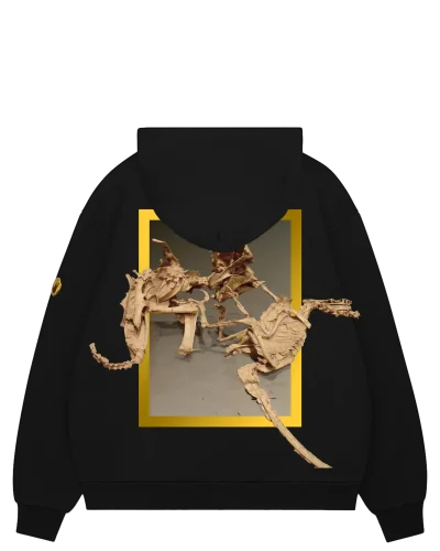 The Fighting Dinosaurs