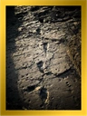 Laetoli Footprints